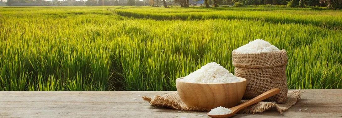 This is a rice granary.